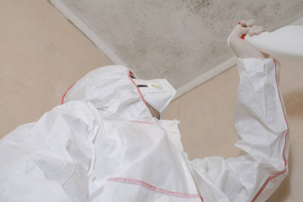 Best Residential Mold Removal  in Riverside, OH