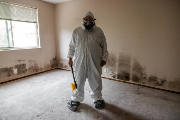 Best Office Mold Removal Services  in Riverside, OH